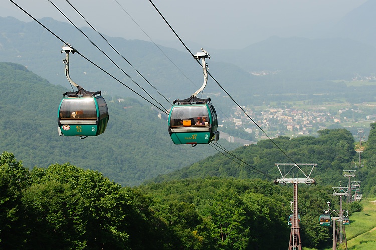 Dogs Summer Hakuba47 Winter Sports Park