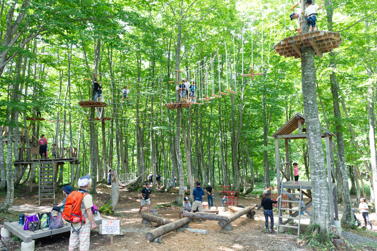 アクティビティ Hakuba47 Mountain Sports Park Green Season Hakuba47 Winter Sports Park