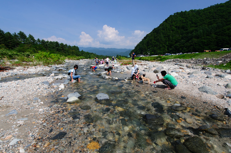 アクティビティ Hakuba47 Mountain Sports Park Green Season Hakuba47 Winter Sports Park